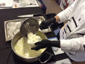 Elaboración de Queso