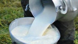 Leche cruda ¿si o no?