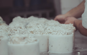Elaboración del queso