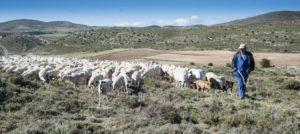 Agricultores y ganaderos ¡no paran!