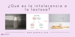 Intolerancia lactosa