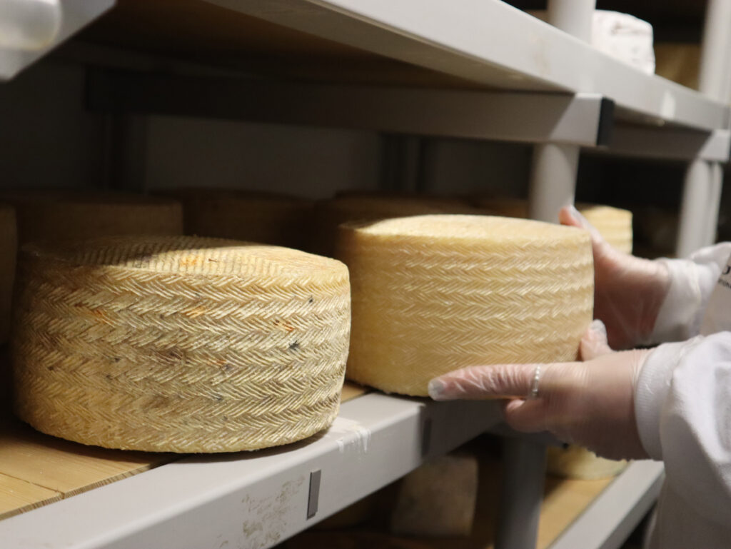 quesos en camaras, queso en camara, ¿que hacen los quesos cuando nadie los ve?