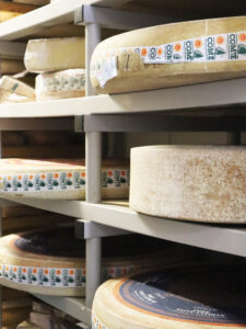 quesos en camaras, queso en camara, ¿que hacen los quesos cuando nadie los ve?